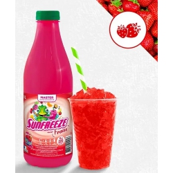 MASTER ULTRA CONCENTRE 1 L...