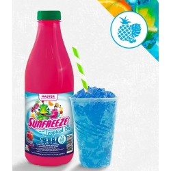 MASTER ULTRA CONCENTRE 1 L...