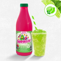 MASTER ULTRA CONCENTRE 1 L...